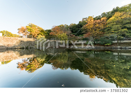 和歌山城堡秋葉 和歌山城堡秋葉 37881302