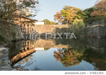 和歌山城堡秋葉 和歌山城堡秋葉 37881303