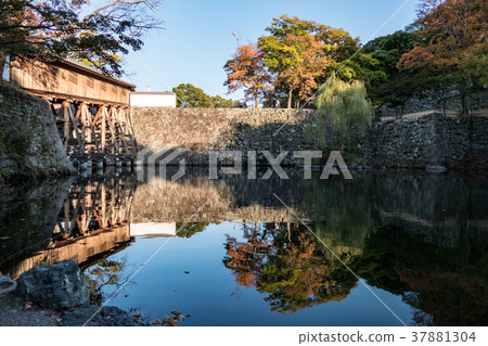 Autumn leaves of Wakayama castle Autumn leaves of Wakayama castle 37881304