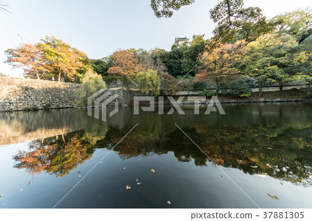 和歌山城堡秋葉 和歌山城堡秋葉 37881305