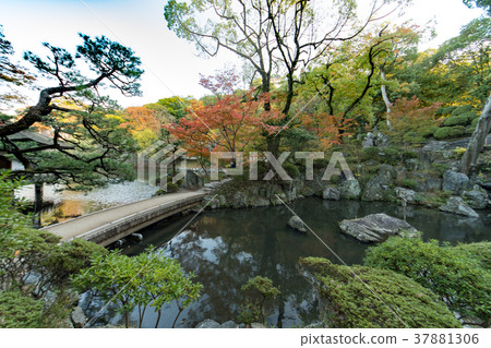 和歌山城堡秋葉 和歌山城堡秋葉 37881306