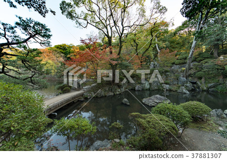 和歌山城堡秋葉 37881307