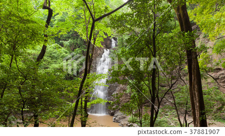Montezuma waterfall in Costa Rica 37881907