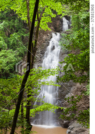 Montezuma waterfall in Costa Rica 37881908