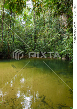 Crystal clear water in river Crystal clear water in river 37881966
