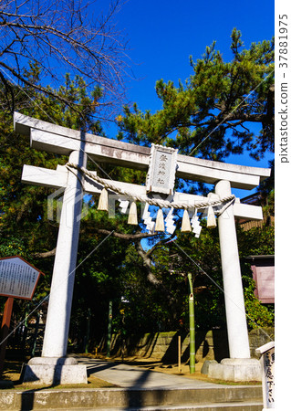Noto Shinto Shrine Torii Noto Shinto Shrine Torii 37881975