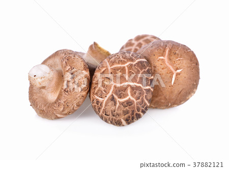 fresh Shiitake mushroom on white background fresh Shiitake mushroom on white background 37882121