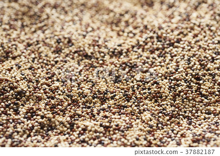 close up of mixed quinoa 37882187