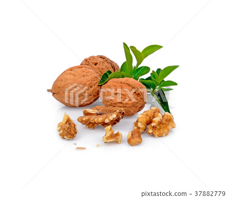 Walnuts kernel isolated on white background 37882779
