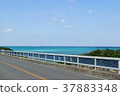宮古島 37883348