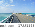 宮古島 37883353