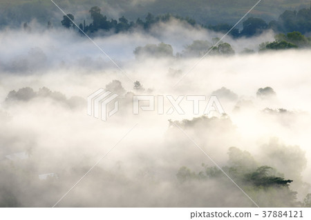 Fog in morning sunrise at Khao Takhian Ngo Fog in morning sunrise at Khao Takhian Ngo 37884121