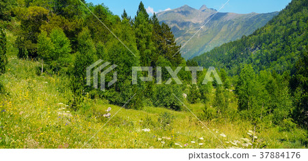 Picturesque mountain slopes Picturesque mountain slopes 37884176