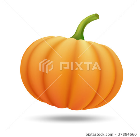 pumpkin on white background 37884660