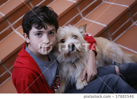 teenager boy and terrier like dog hug 37885548