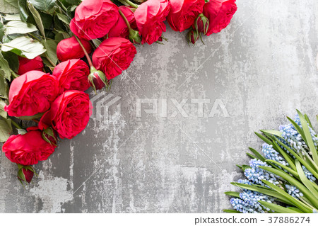 Valentines day or birthday greeting card. Red Valentines day or birthday greeting card. Red 37886274