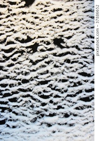 abstract Ice texture Winter background 37886652