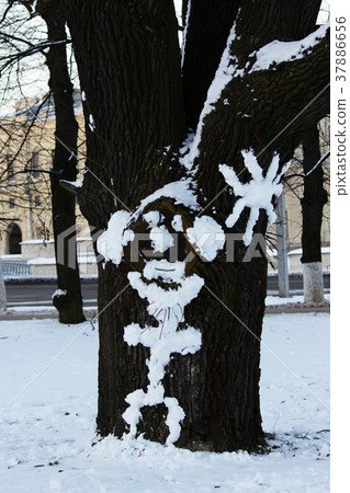 santa claus painted with snow on a tree 37886656