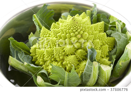 Romanesco Romanesco 37886776