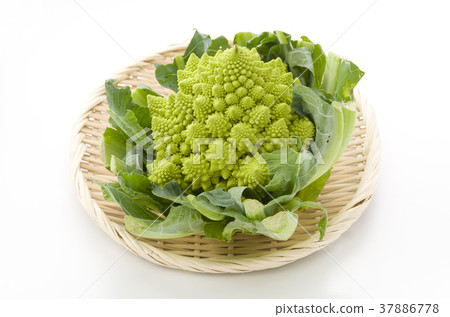 Romanesco 37886778