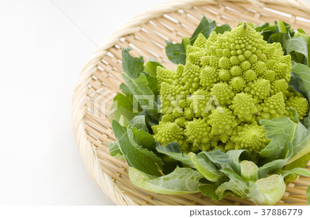 Romanesco 37886779