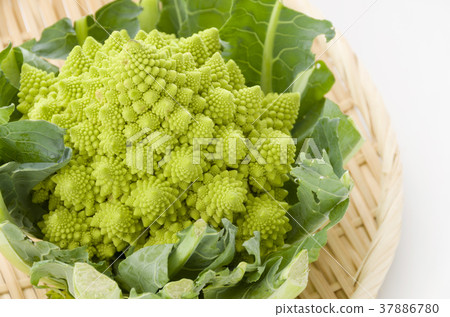 Romanesco Romanesco 37886780