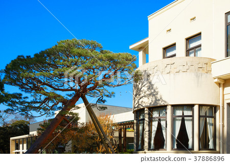 Tokyo Metropolitan Garden Art Museum Matsuki Tokyo Metropolitan Garden Art Museum Matsuki 37886896