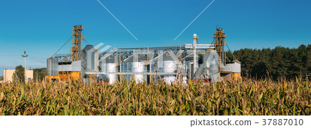 Modern Granary, Grain-drying Complex, Commercial Modern Granary, Grain-drying Complex, Commercial 37887010