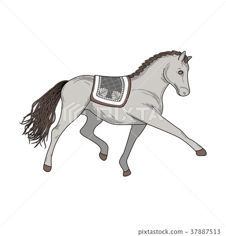 Dressage horse vector illustration. 37887513