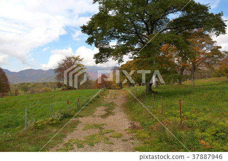 Kuragamine Ranch Kuragamine Ranch 37887946