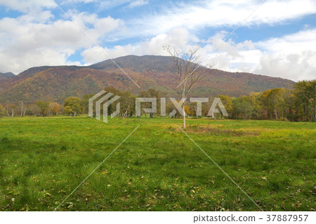 Kuragamine Ranch 37887957