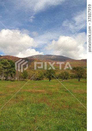 Kuragamine Ranch 37887959