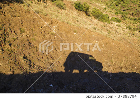 Car shadow through the mountains 37888794
