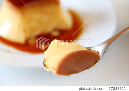 布丁 37888821