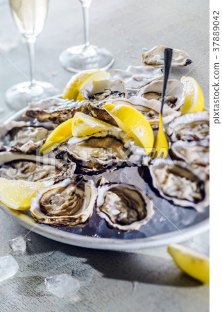 Opened Oysters Opened Oysters 37889042