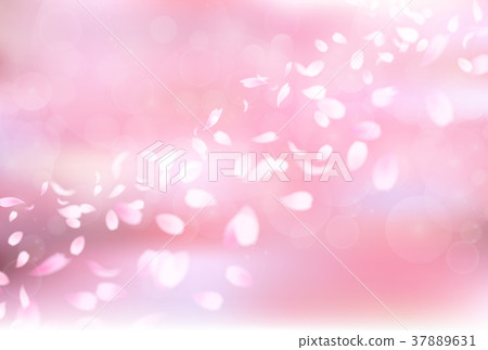 Sakura spring flower background Sakura spring flower background 37889631