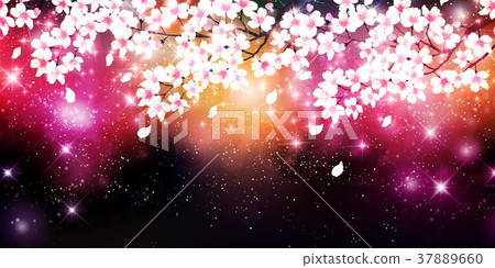 Sakura spring flower background Sakura spring flower background 37889660
