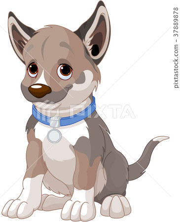 Puppy Dog Puppy Dog 37889878