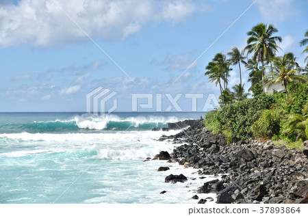 Holidays in Hawaii 37893864