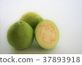 White guava 2 37893918