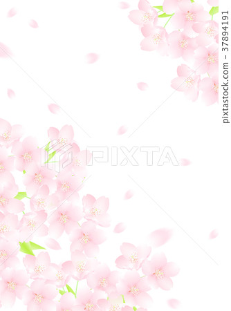 Blue sky and cherry snowstorm illustration Blue sky and cherry snowstorm illustration 37894191