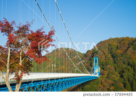 Ryujin Large Suspension Bridge 37894485