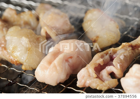 荷爾蒙肉 37894556