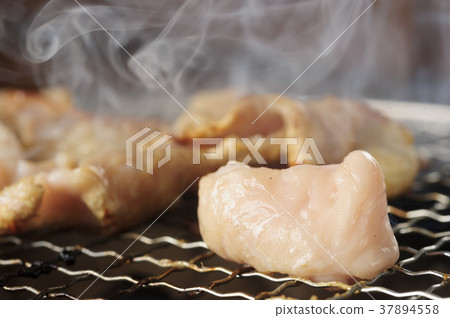 荷爾蒙肉 37894558