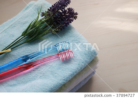 一雙牙刷 一雙牙刷 37894727