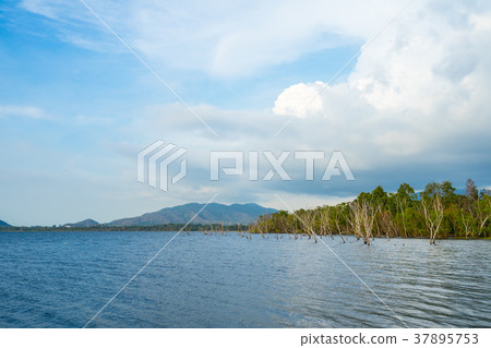 View at Bang Phra Reservoir, Sriracha 37895753