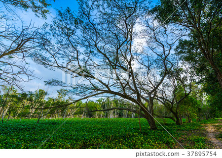 View at Bang Phra Reservoir, Sriracha 37895754