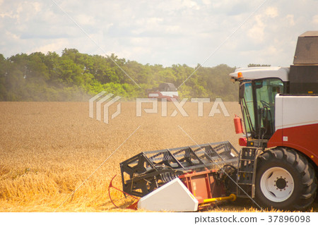 combine harvester working on a wheat field. combine harvester working on a wheat field. 37896098