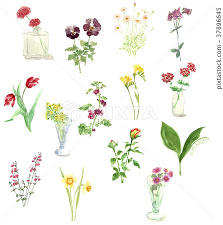 Four seasons flowers 37896645