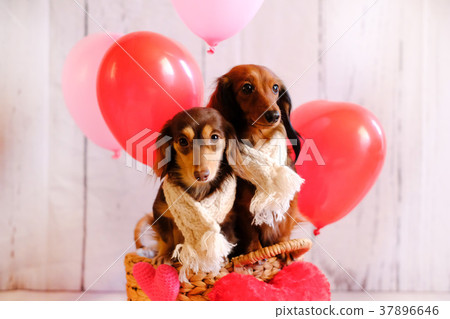 Dax Valentine Heart 37896646